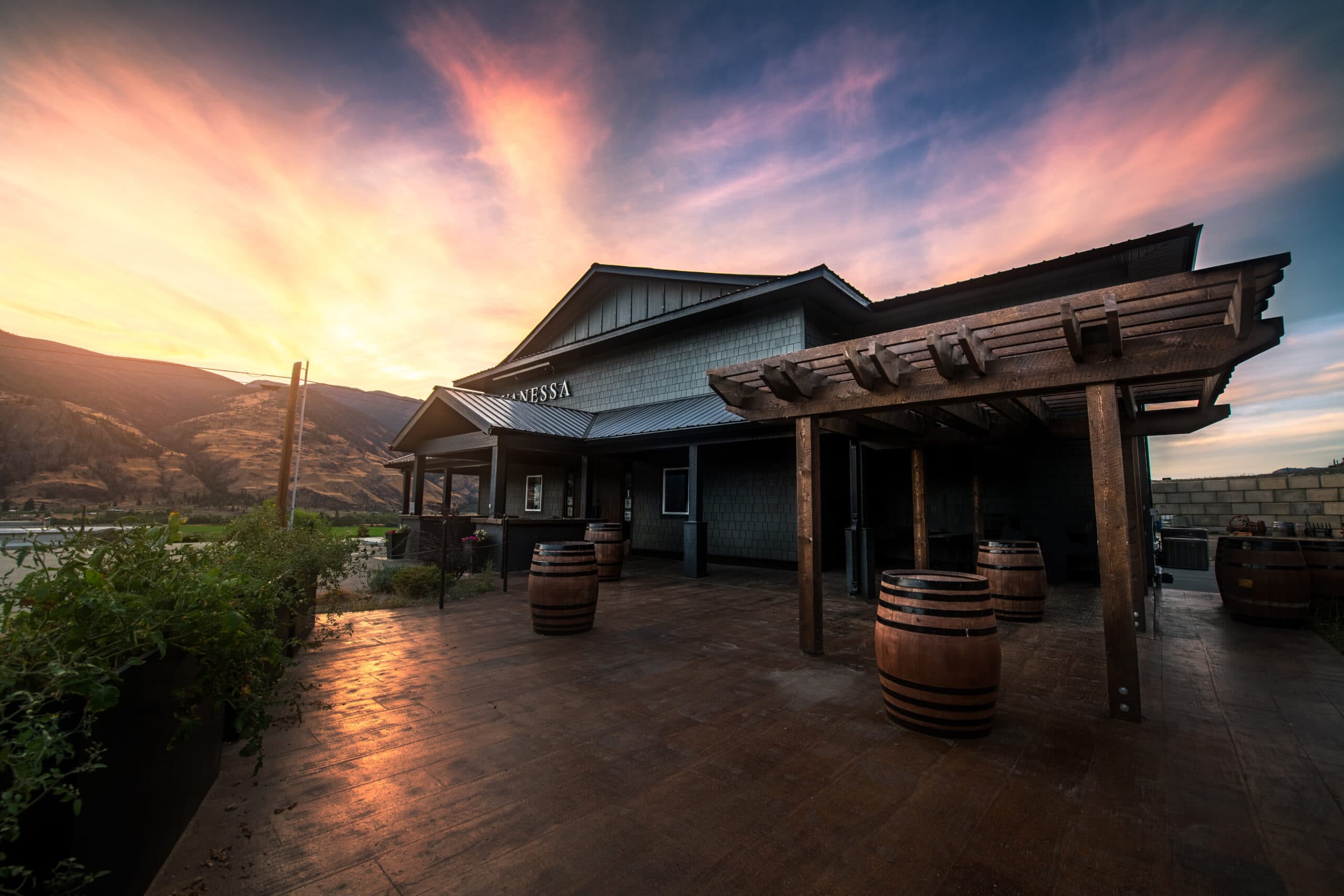 Vanessa Vineyard