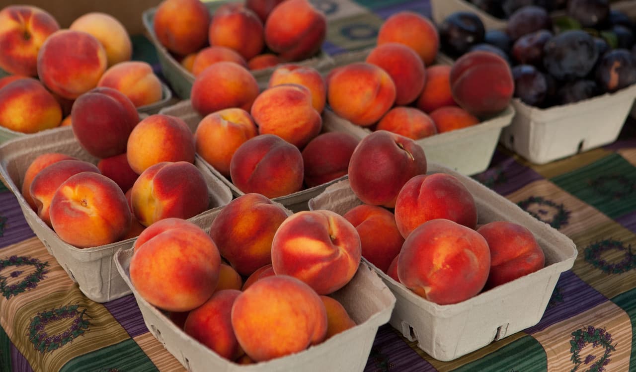 Danny’s East Bench Fruit Market