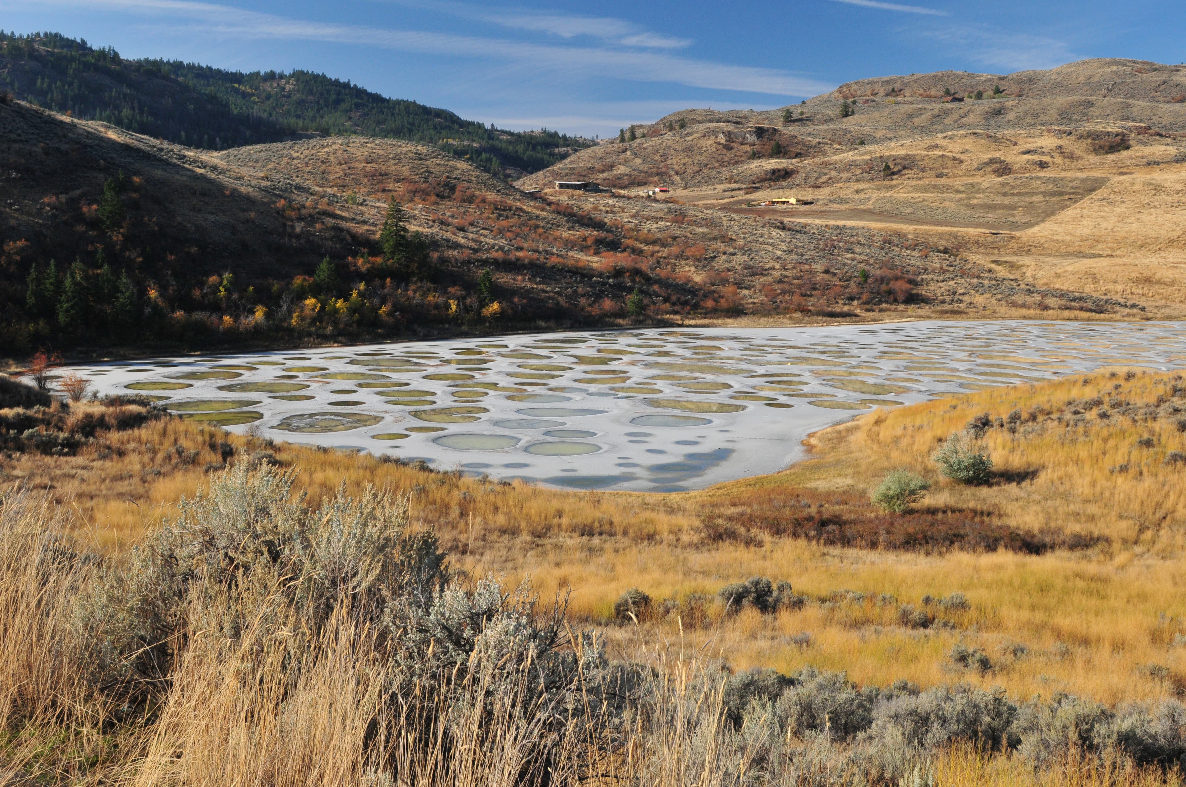 spotted-lake