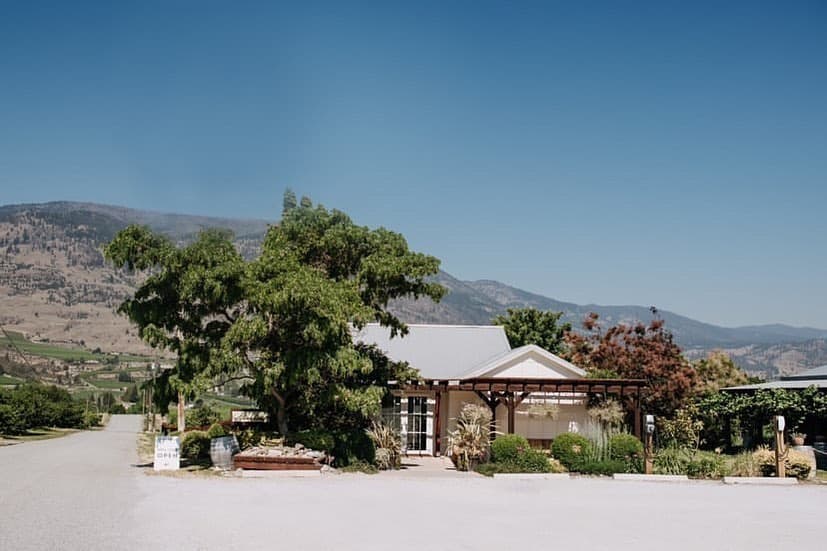 Stoneboat Vineyards