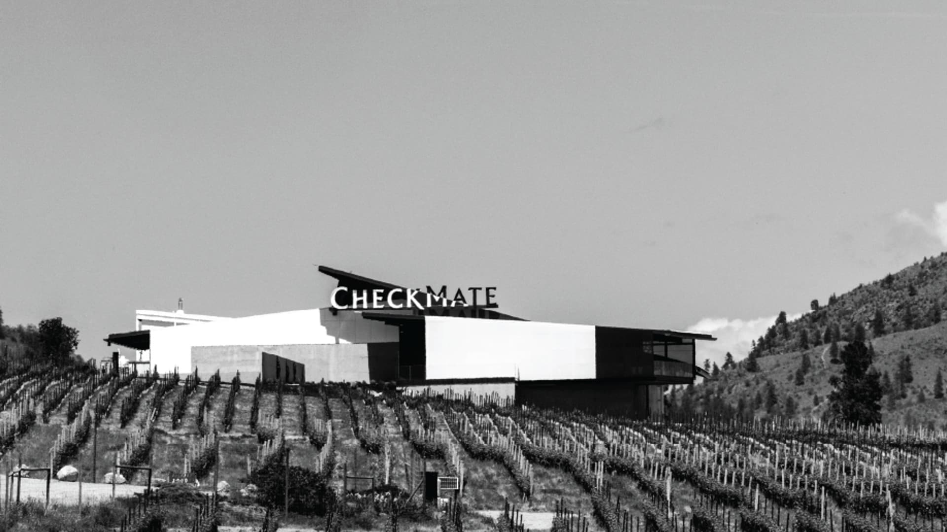CheckMate Artisanal Winery