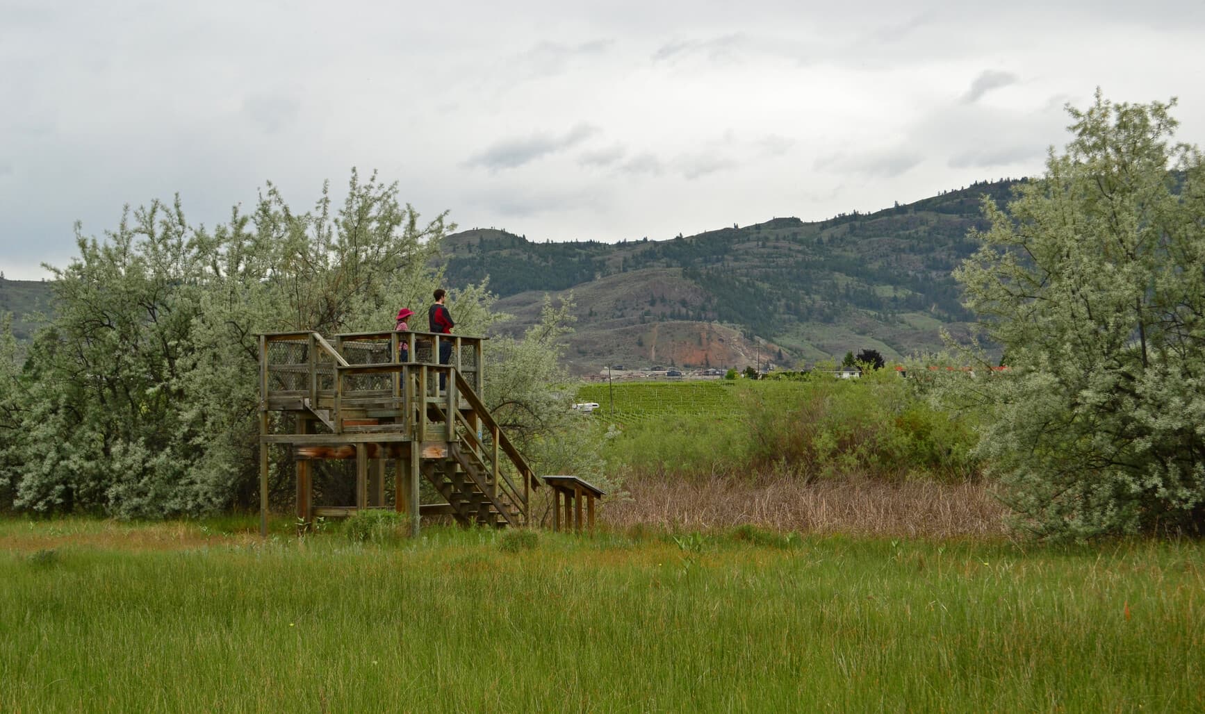sẁiẁs Provincial Park (Haynes Point)
