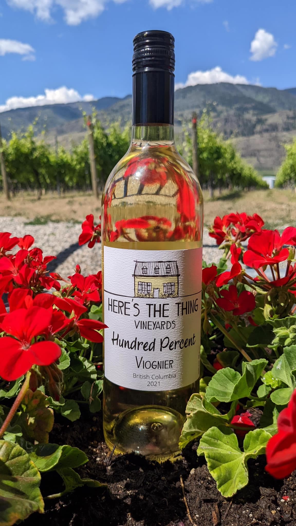 Here’s The Thing Vineyards