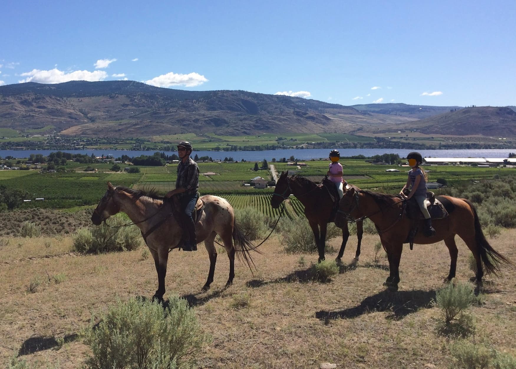 Sun Hills Riding Centre