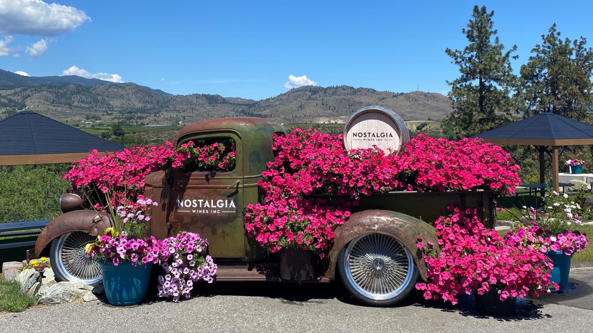 Sunset Lounge Live Music @ Nostalgia Winery