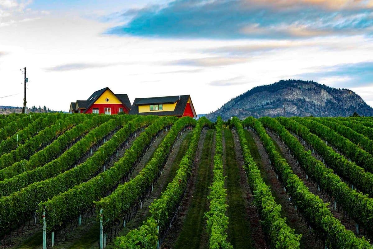 River Stone Estate Winery