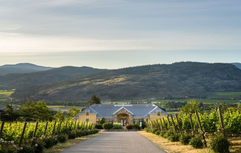 Plein Air Painting with Paul Eccles & Alana Evens @ Tinhorn Creek Vineyards poster