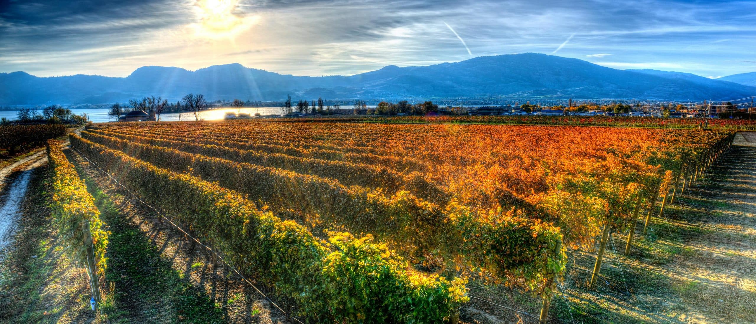 Lakeside Cellars