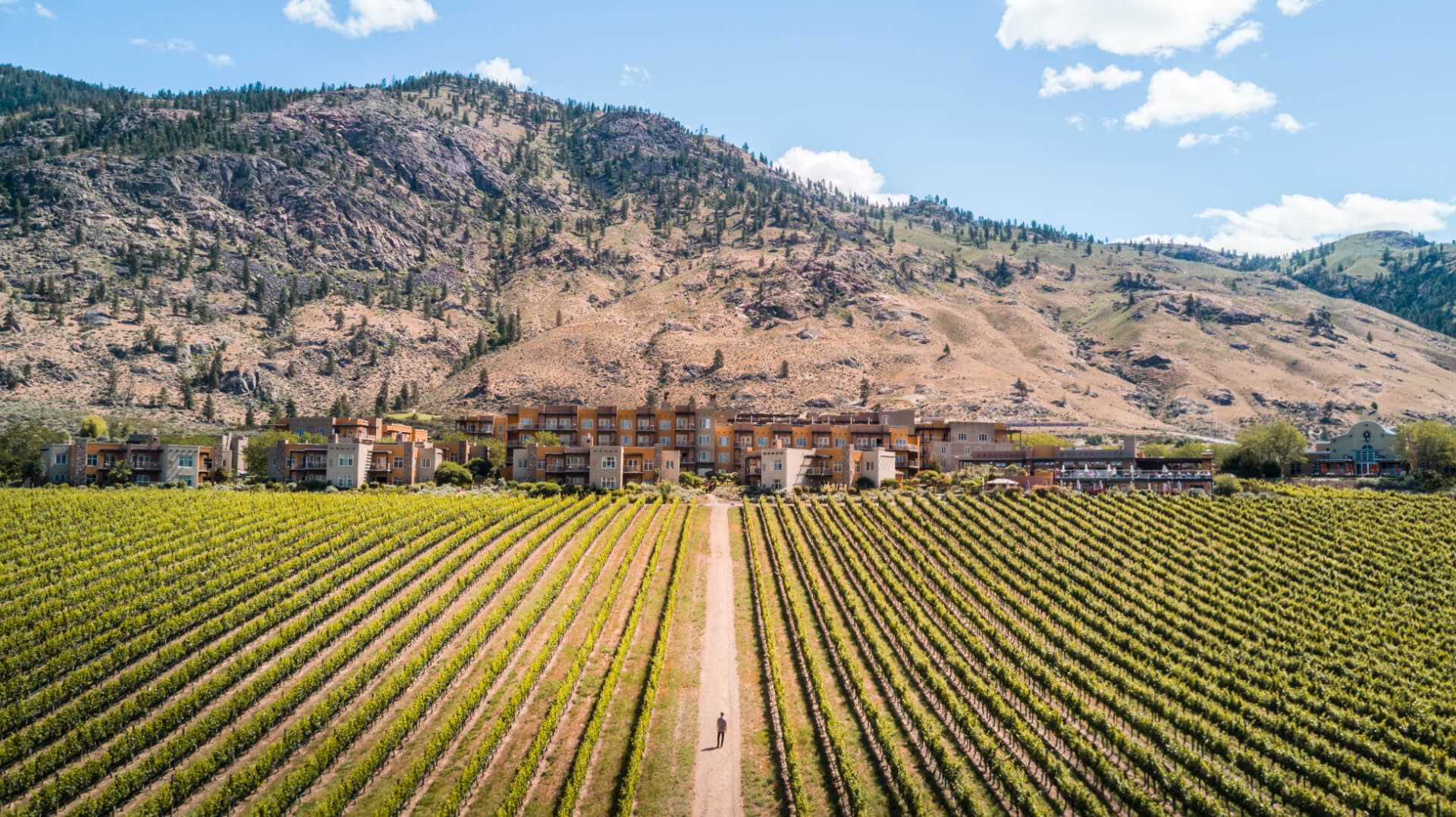 Aerial of a vineyard and lakeside resort below the Osoyoos mountains