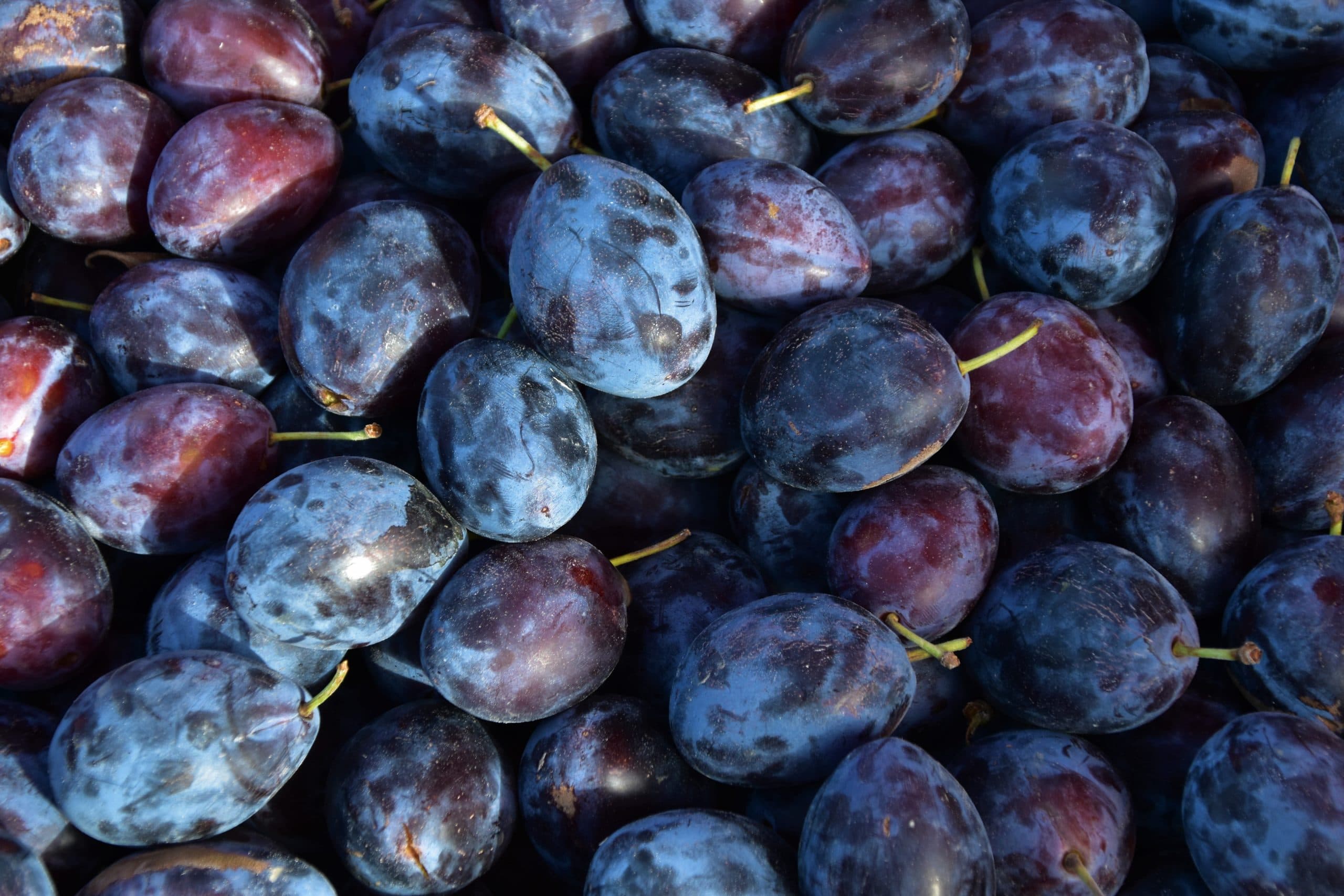 Brar Fruit Stand & Orchards