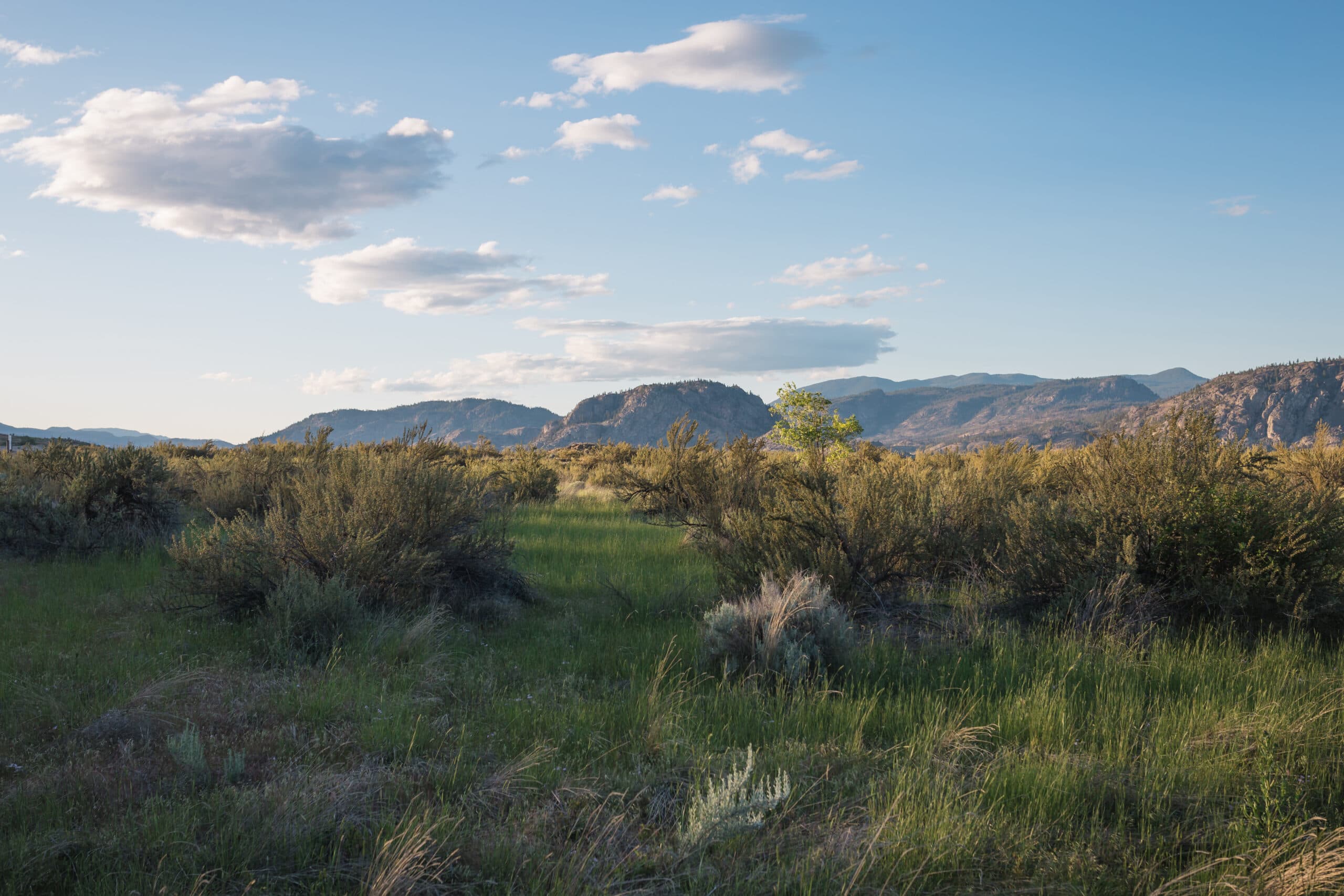 How to Safely Explore the Desert Trails of Osoyoos