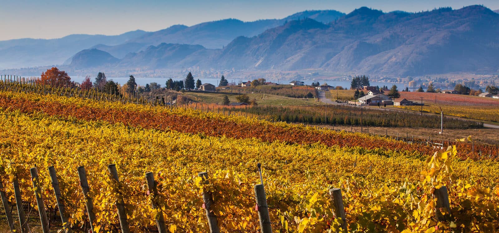 5 Tips to Plan Your Weekend in Osoyoos Wine Country