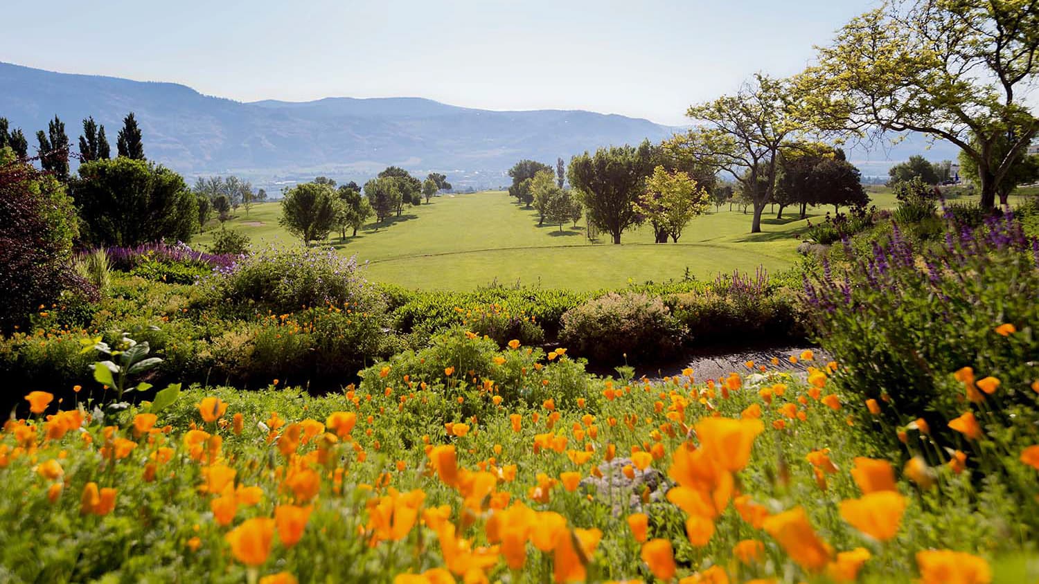 Par for the Course: Everything You Need to Know for Your Osoyoos Spring Golf Getaway