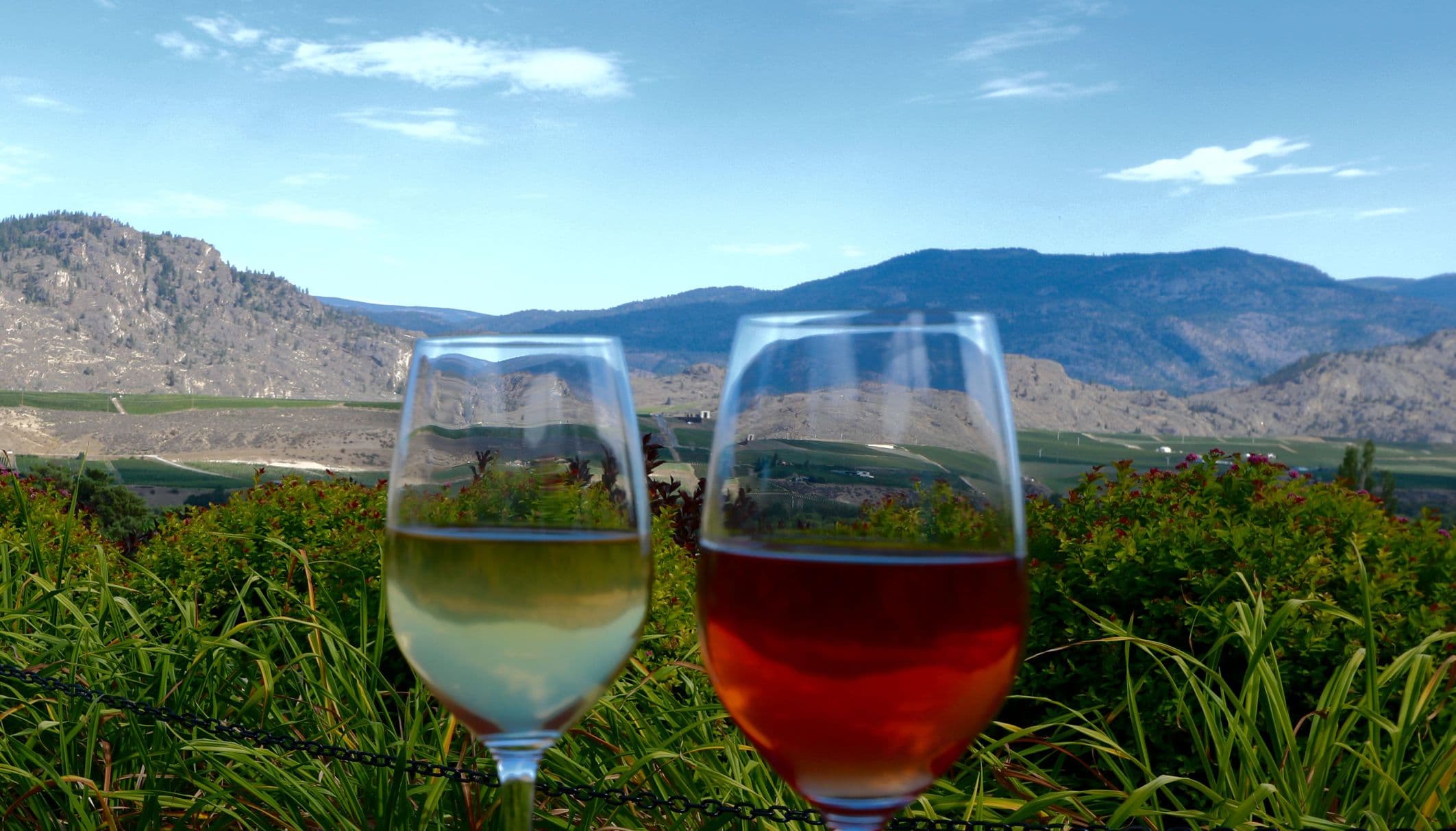 Corks and Cactus Wine Tours