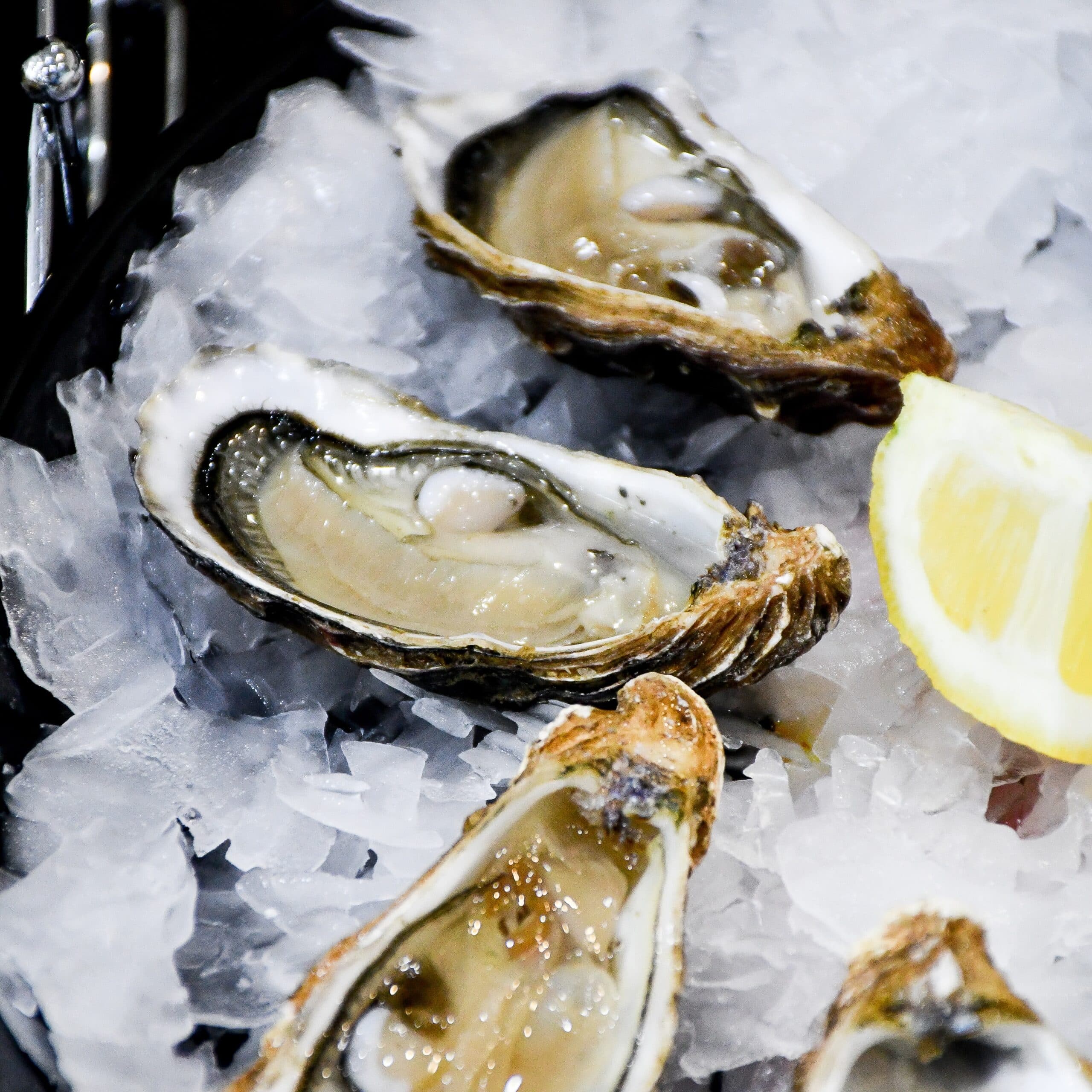 Oyster Festival – Sip & Shuck @ Osoyoos Golf Club poster