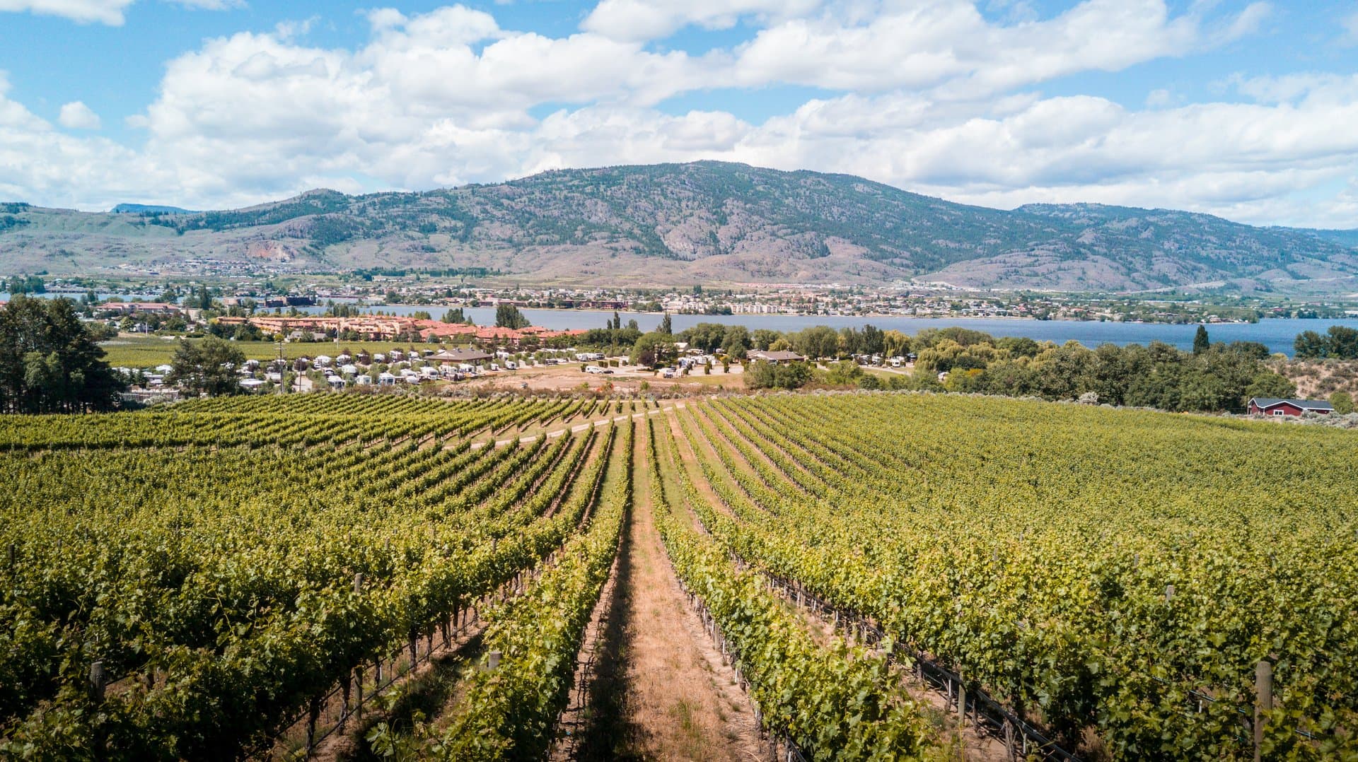 Enter to win a Castanet Contest: Sip, Spa, SUP & Explore in Osoyoos BC!