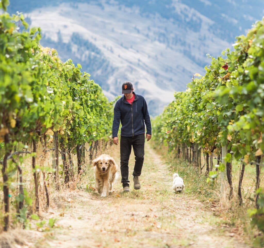 Dog-Friendly-Wineries