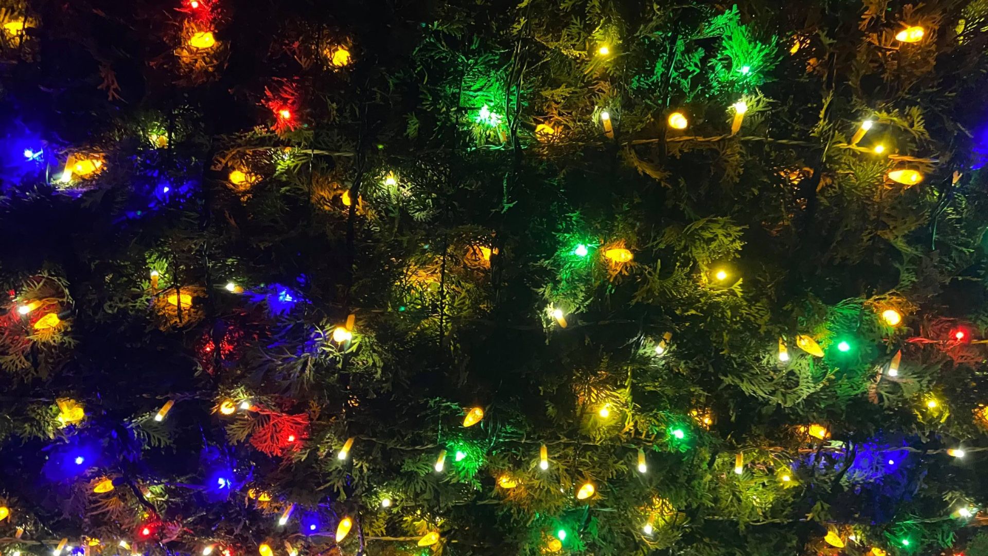 Holiday Lights in Osoyoos