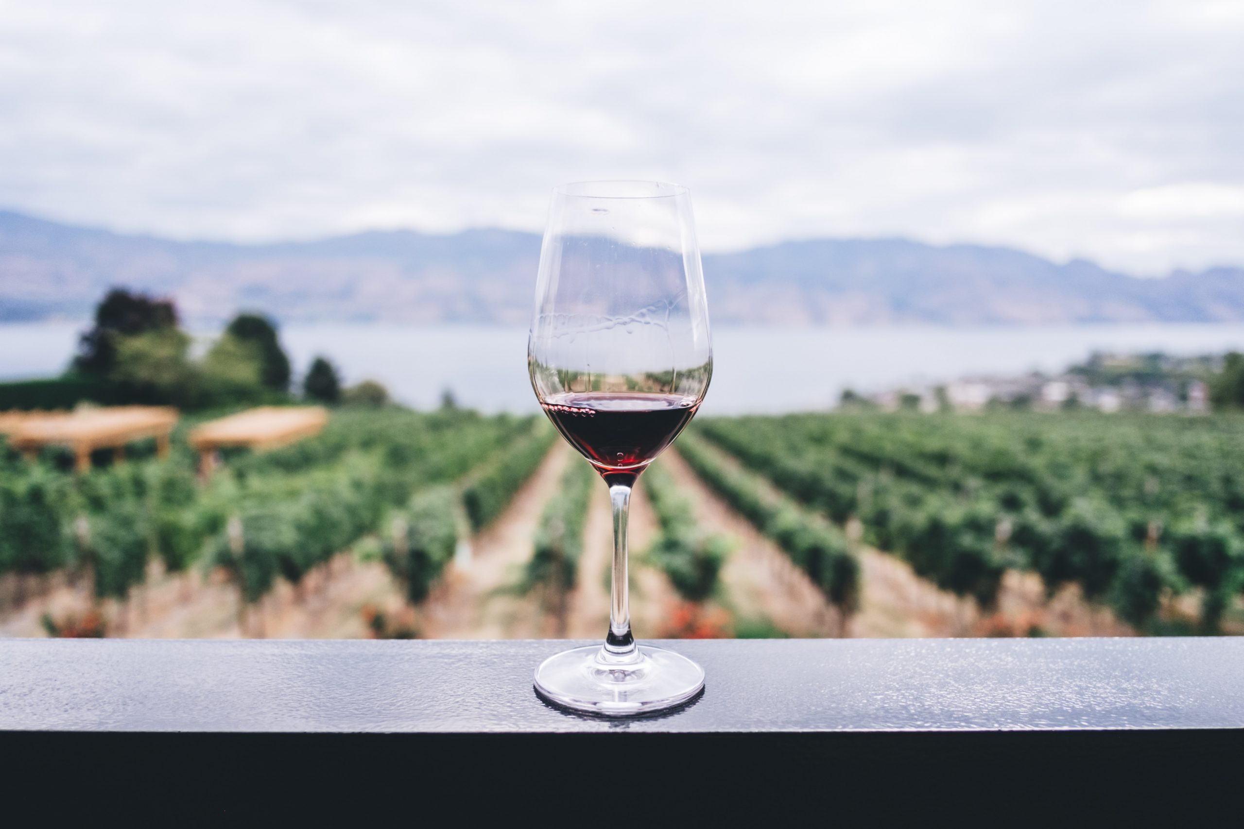 Rise & Wine Yoga @ Lakeside Cellars - Destination Osoyoos