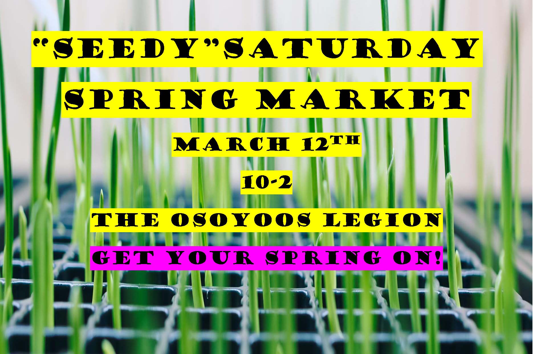 Seedy Saturday Osoyoos Farmer’s Market Destination Osoyoos