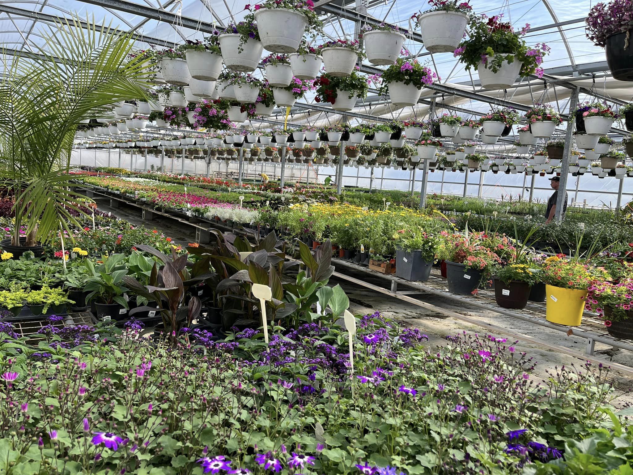 Sandhu Greenhouses & Nursery - Destination Osoyoos