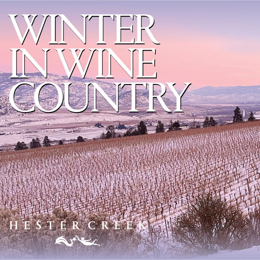 Winter in Wine Country Hester Creek Estate Winery Destination Osoyoos